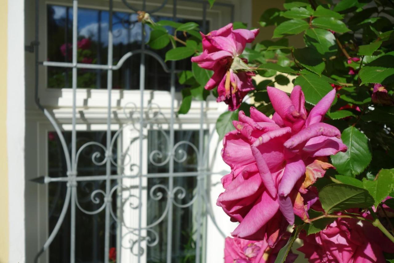 Villa Sonnenstrahl Mariánské Lázně Exteriör bild