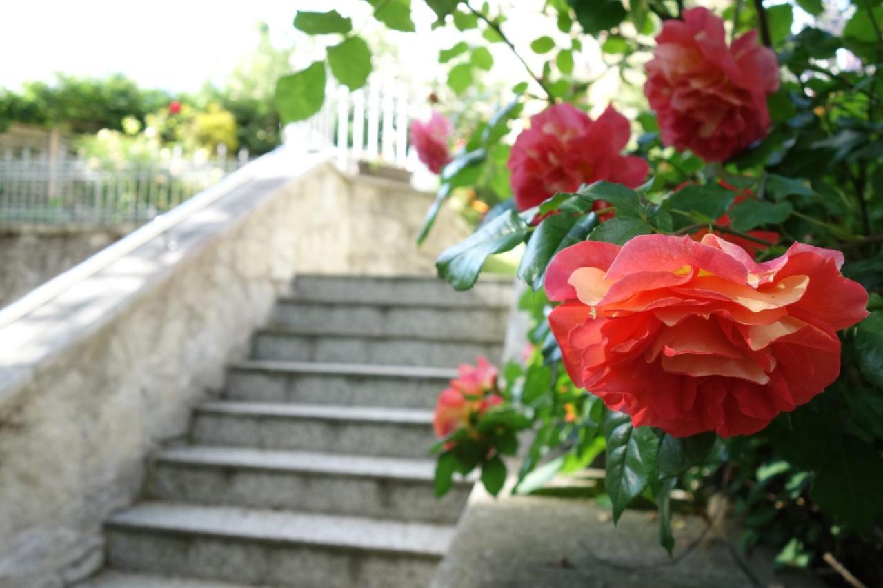 Villa Sonnenstrahl Mariánské Lázně Exteriör bild